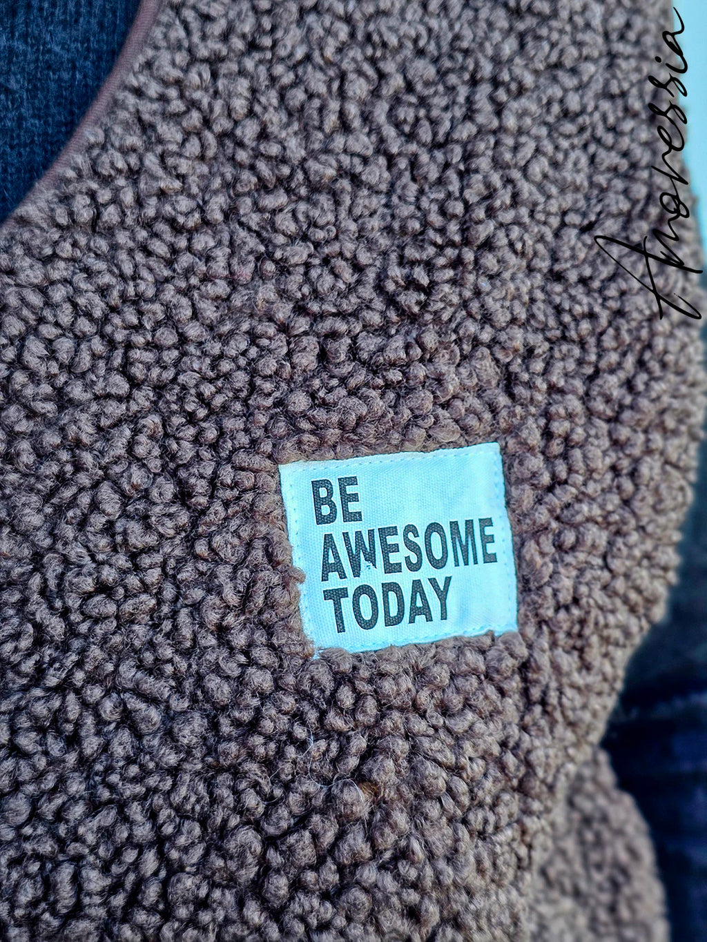 Gilet sans manche Sixtine Chocolat — Gilet Sans Manches Chocolat Femme vue détail